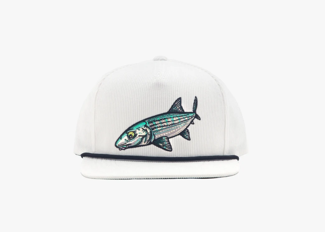 Bonefish - Flat Brim Corduroy Hat - Image 4
