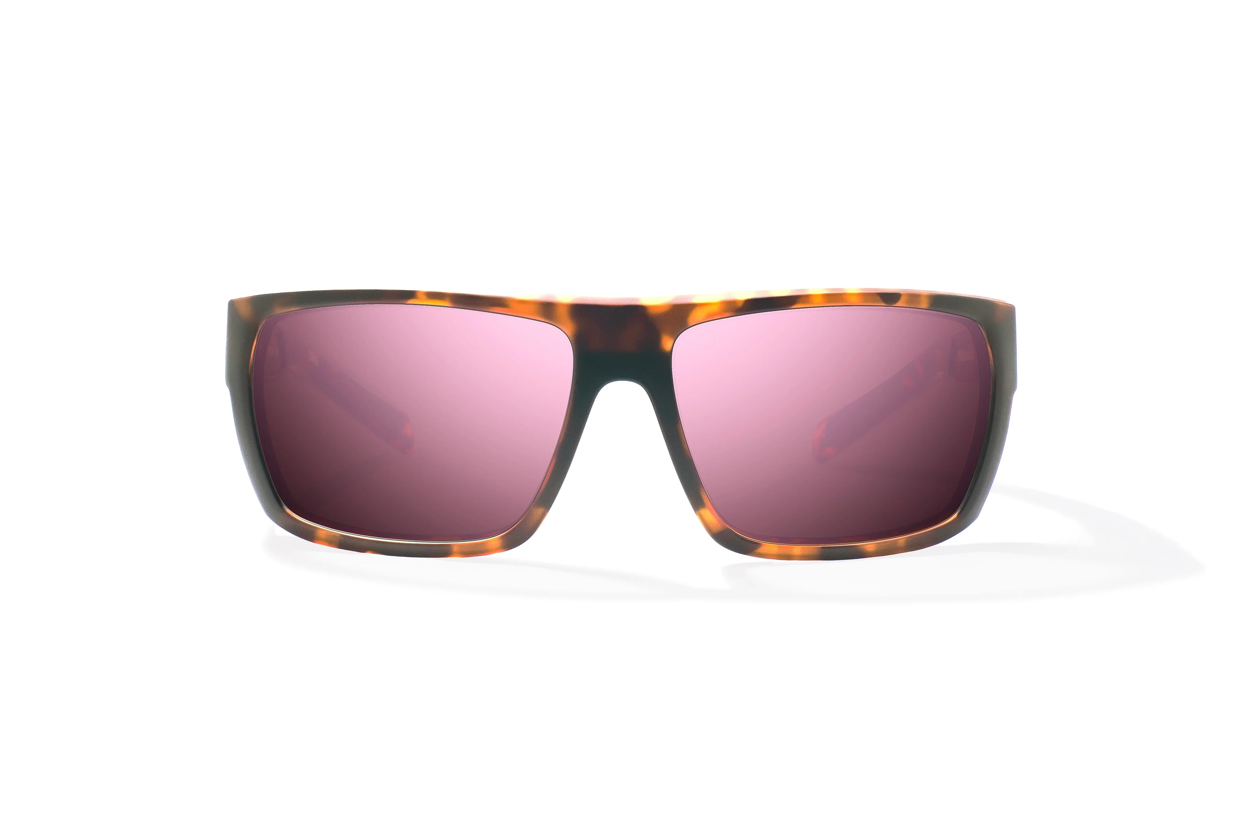 Palometa RX - Image 79